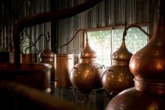 Home Distillers- Bougnat Photos