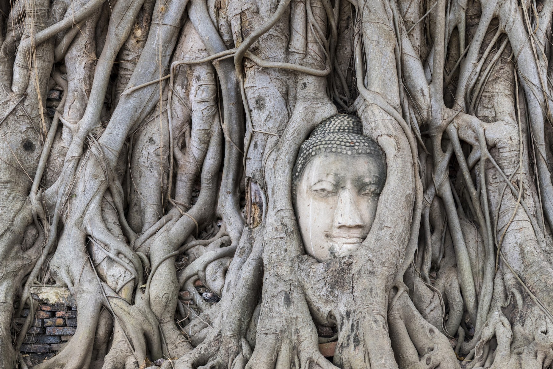 Ayutthaya - Thaïlande - Bougnat Photos